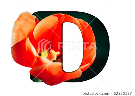D - letter of the alphabet-the background is made of real flowers, plants. A collection of brilliant flora font for your unique spring, summer decorations and many concept ideas. 62520187
