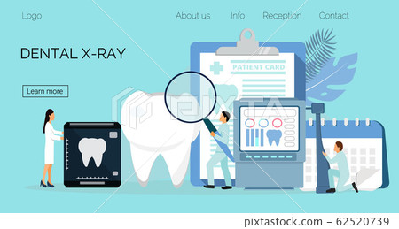 Tiny dentists make x-ray scan of teeth to help toothache, to whiten enamel or recovery implant. Professionals of stomatology work, treat illness tooth. Dental services vector concept for landing page. 62520739