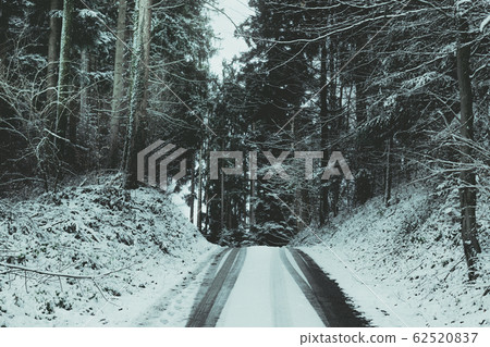 snow tracks into winter forest 62520837