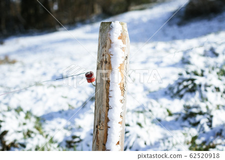 close up of wooden post with red isolator in the close up of wooden post with red isolator in the 62520918