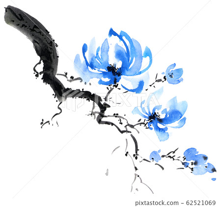 Blossom tree branch Blossom tree branch 62521069
