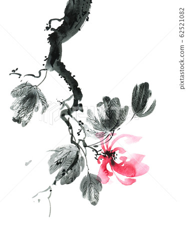 Blossom tree branch 62521082