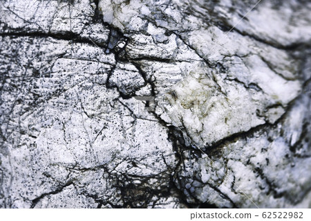 Detail of old gloomy limestone with cracks Detail of old gloomy limestone with cracks 62522982