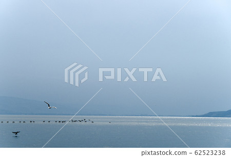 Sea of Galilee - calm, birds, nice view, Israel Sea of Galilee - calm, birds, nice view, Israel 62523238