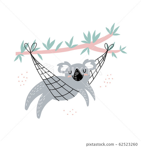 Cute koala is resting in a hammock isolated on white. Children s print for clothes, cards, posters Cute koala is resting in a hammock isolated on white. Children s print for clothes, cards, posters 62523260