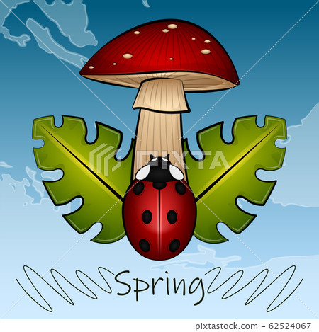 Ladybug on a leaf 62524067