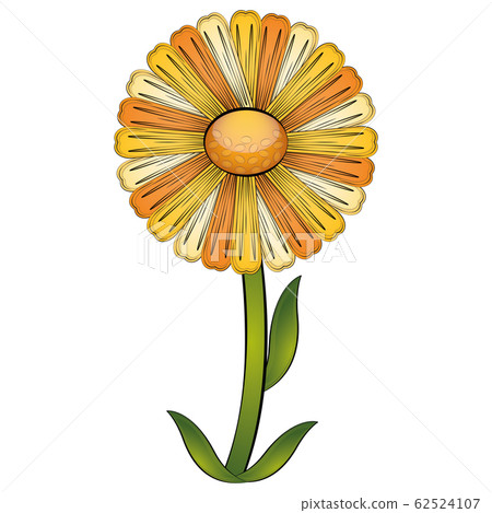 Isolated beautiful daisy flower - Stock Illustration [62524107] - PIXTA
