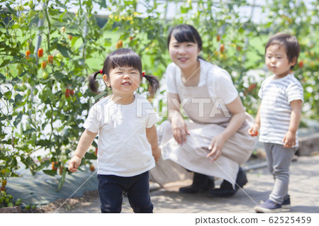 家庭父母和孩子 家庭父母和孩子 62525459