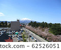 Iwakiyama and cherry blossoms 62526051