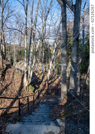 八形城遺址八形城公園冬季場景 八形城遺址八形城公園冬季場景 62526267