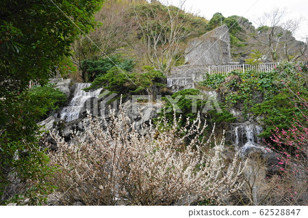 February @ Atami 51 Umi Falls and Bairin / Atami Plum Garden February @ Atami 51 Umi Falls and Bairin / Atami Plum Garden 62528847