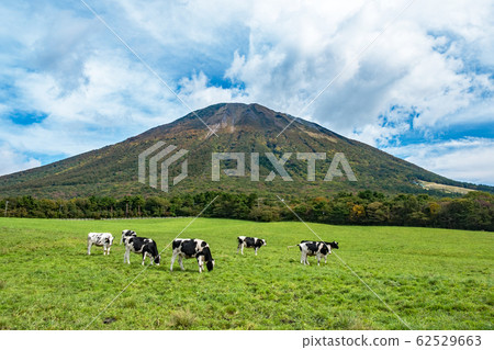 大山牛肉藍天 大山牛肉藍天 62529663