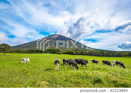 Oyama beef blue sky Oyama beef blue sky 62529664