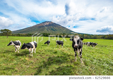 大山牛肉藍天 62529666