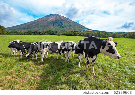 大山牛肉藍天 大山牛肉藍天 62529668