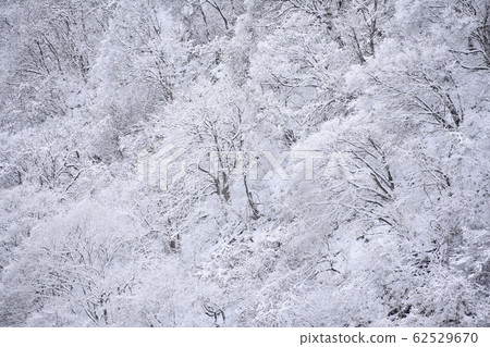 雪景 雪景 62529670