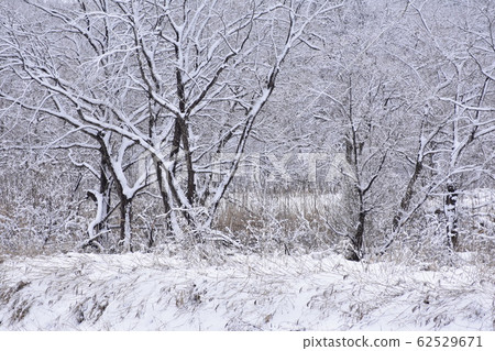 雪景 雪景 62529671