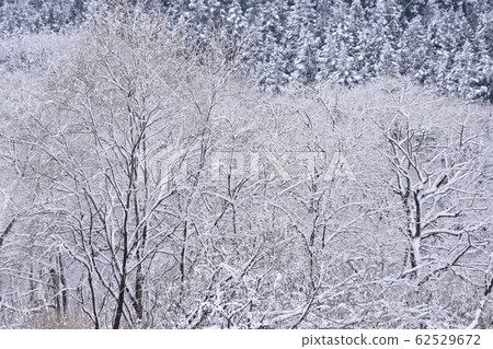 雪景 雪景 62529672