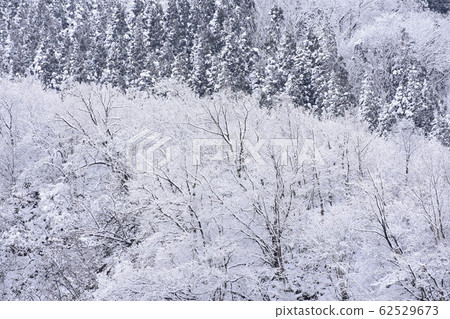 雪景 雪景 62529673