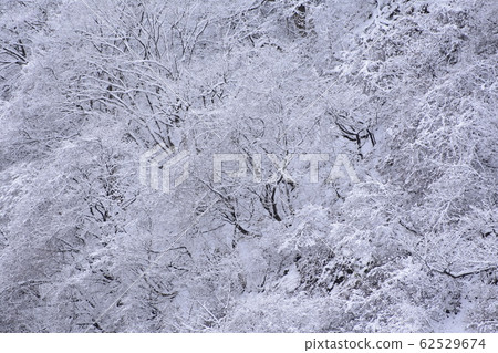 雪景 雪景 62529674