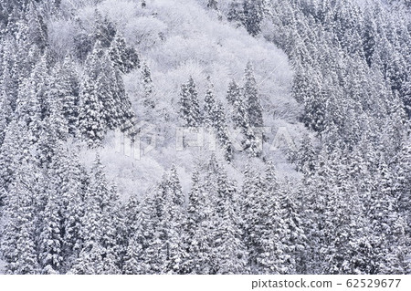 雪景 雪景 62529677