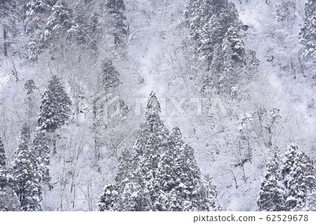 雪景 雪景 62529678