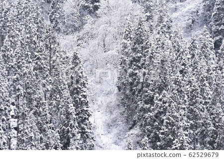 雪景 雪景 62529679