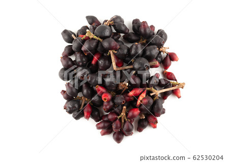 Syzygium cumini, black plum, jamun or Syzygium Syzygium cumini, black plum, jamun or Syzygium 62530204