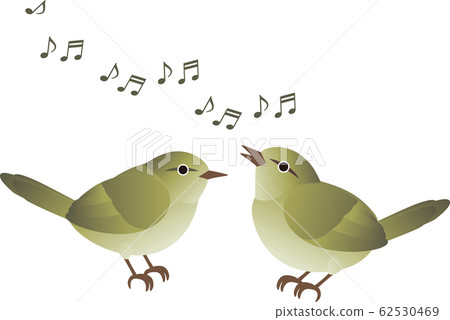 Warbler singing song singing bird bird spring 62530469