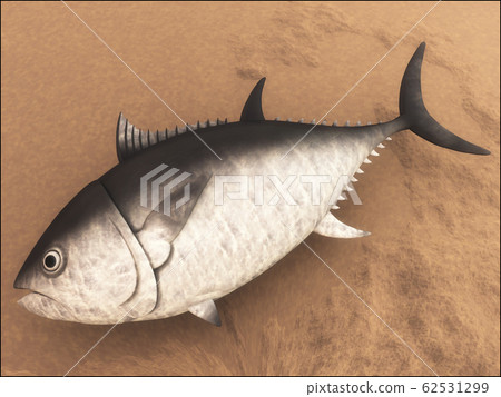 金槍魚 62531299