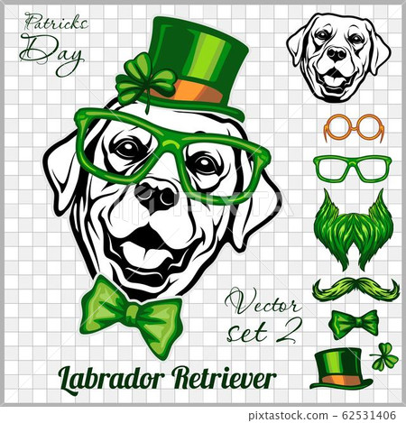 Labrador Retriever Dog and design elements of St. Patricks Day - Template for St. Patricks Day. Vector illustration isolated on light Labrador Retriever Dog and design elements of St. Patricks Day - Template for St. Patricks Day. Vector illustration isolated on light 62531406