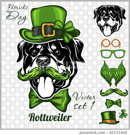 Rottweiler Dog and design elements of St. Patricks Day - Template for St. Patricks Day. Vector illustration isolated on light 62531408