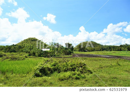 Chocolate Hills in Bohol, Philippines Chocolate Hills in Bohol, Philippines 62531979