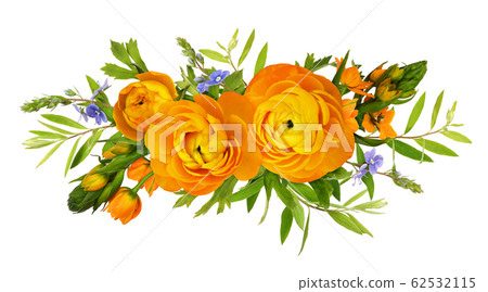 Orange ranunculus and ornithogalum flowers in a Orange ranunculus and ornithogalum flowers in a 62532115