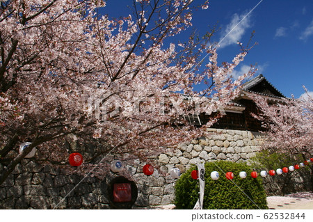 Matsuyama Castle, cherry blossoms and blue sky 62532844