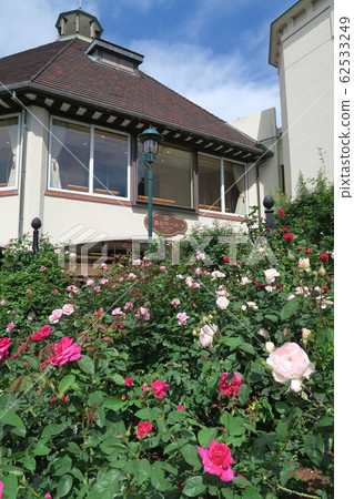 Kobe Nunobiki Herb Garden-Early Summer Rose Symphony Garden- Kobe Nunobiki Herb Garden-Early Summer Rose Symphony Garden- 62533249