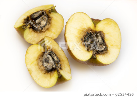 rotten apple 62534456