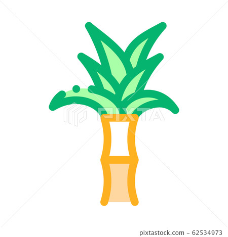 Sugar Cane Plant Icon Vector Outline Illustration Sugar Cane Plant Icon Vector Outline Illustration 62534973