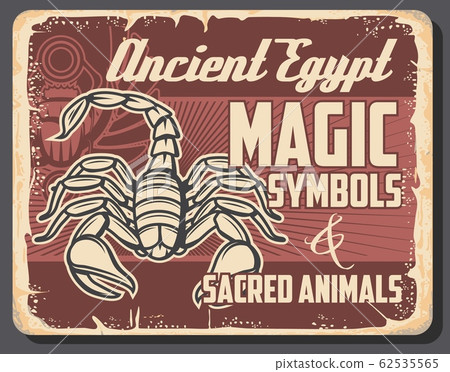 Ancient Egyptian scorpion and scarab beetle 62535565