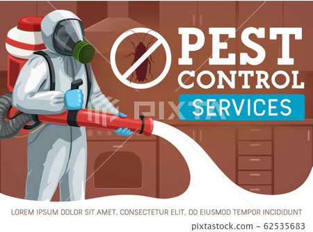 Exterminator spraying insecticide. Pest control 62535683