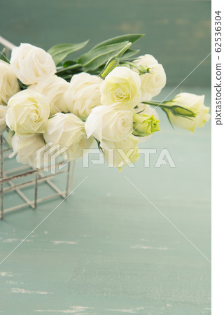 Turkish bellflower 62536304