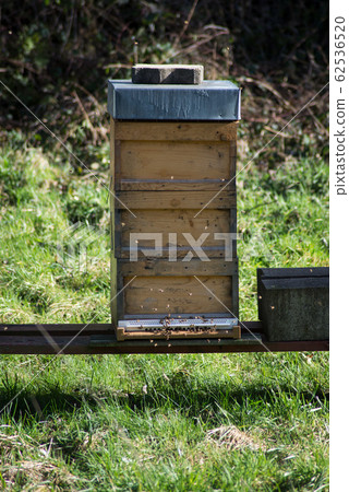Closeup of wooden beehive in a meadow Closeup of wooden beehive in a meadow 62536520