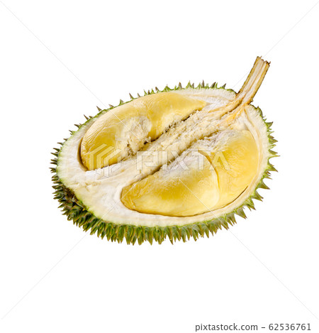 durian or durian with concept on background new. durian or durian with concept on background new. 62536761