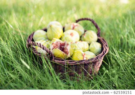 Fresh green figs with green leaves in a wicker basket 62539151
