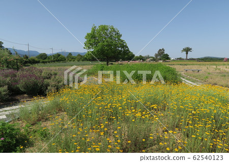 泉回收環境公園-香草花園- 泉回收環境公園-香草花園- 62540123
