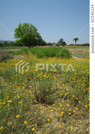 Izumi Recycling Environmental Park-Herb Garden- Izumi Recycling Environmental Park-Herb Garden- 62540124