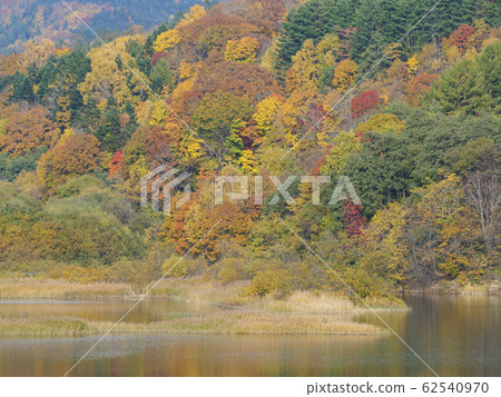 Autumn leaves mountain slope and lake Autumn leaves mountain slope and lake 62540970