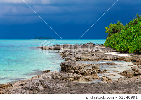 Maldive Sand Beach and green palm foliage view 62540991