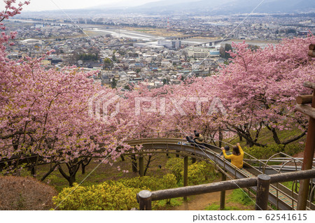 Matsuda Sakura Festival Kanagawa Prefecture Matsuda Town Hayasaki Matsuda Sakura Festival Kanagawa Prefecture Matsuda Town Hayasaki 62541615