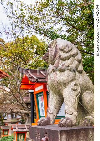 京都府東山區八坂神社駒犬 照片素材 圖片 圖庫